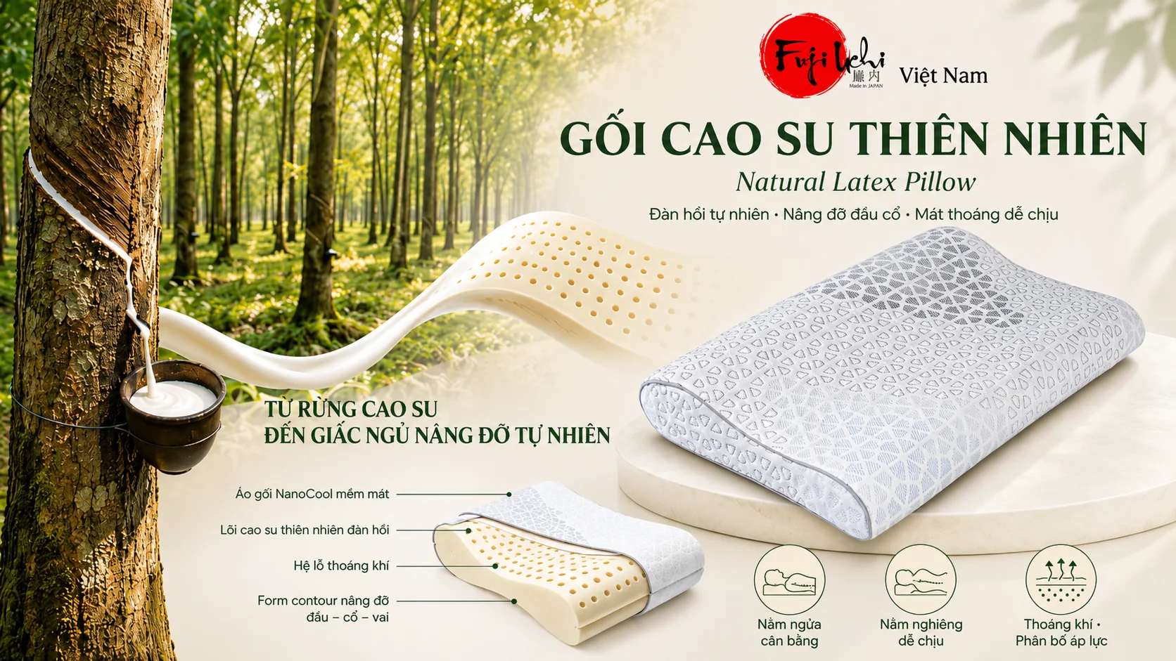 Gối Natural
